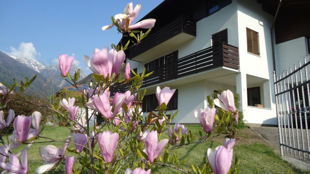 Casa Gregori Apartment Male Exterior photo